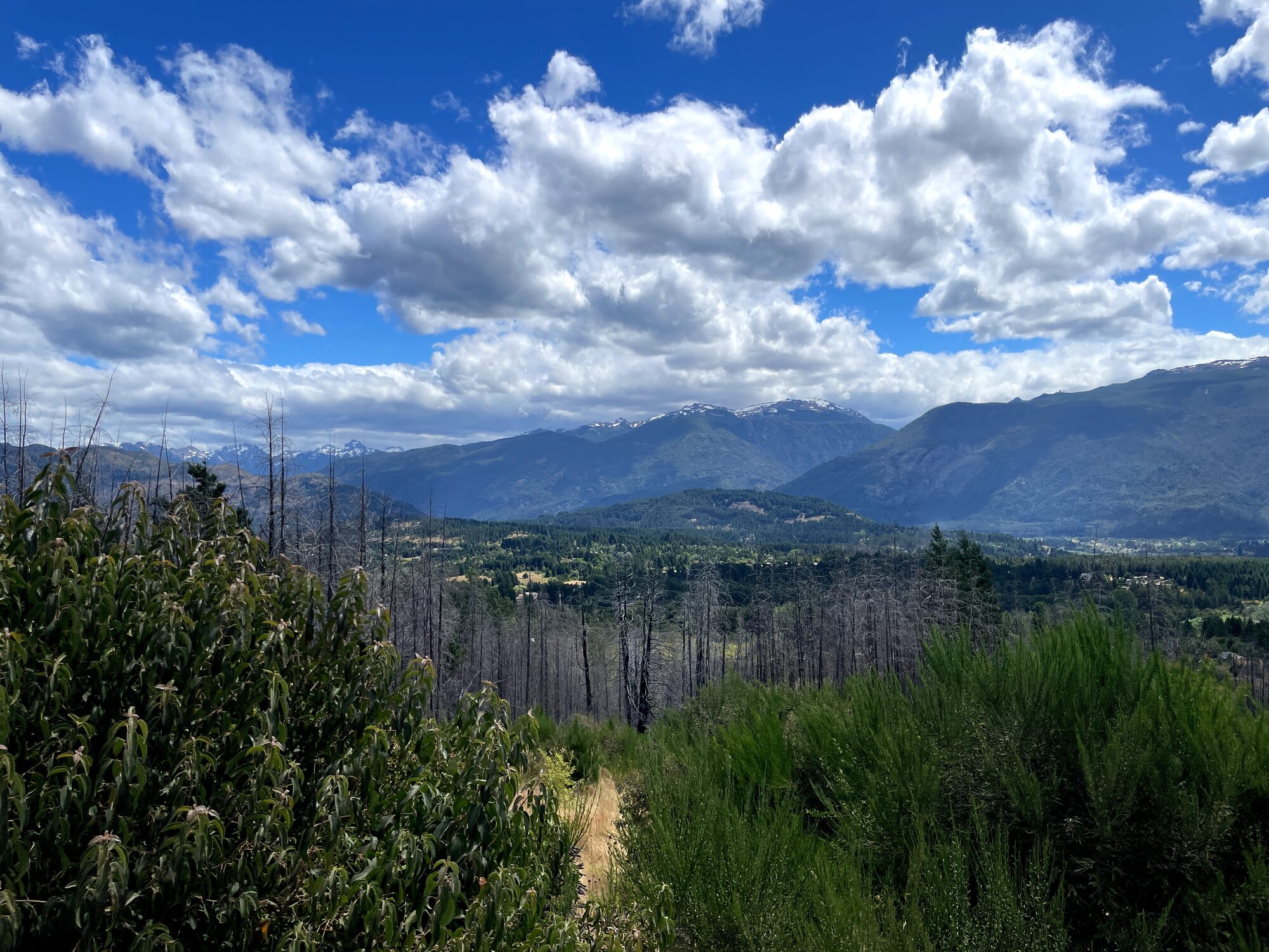 Valle y cordillera desde el terreno